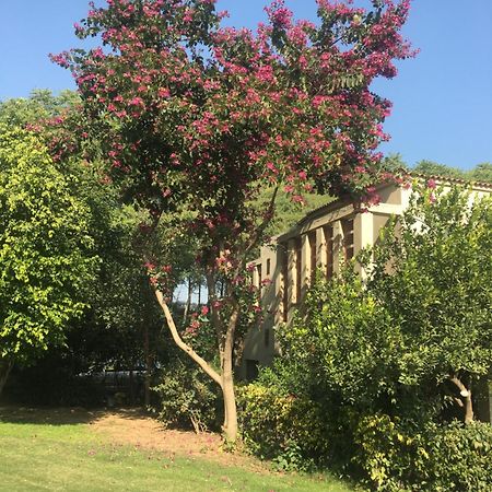 Villa At Tarudhan Valley Golf Resort Manesar Esterno foto