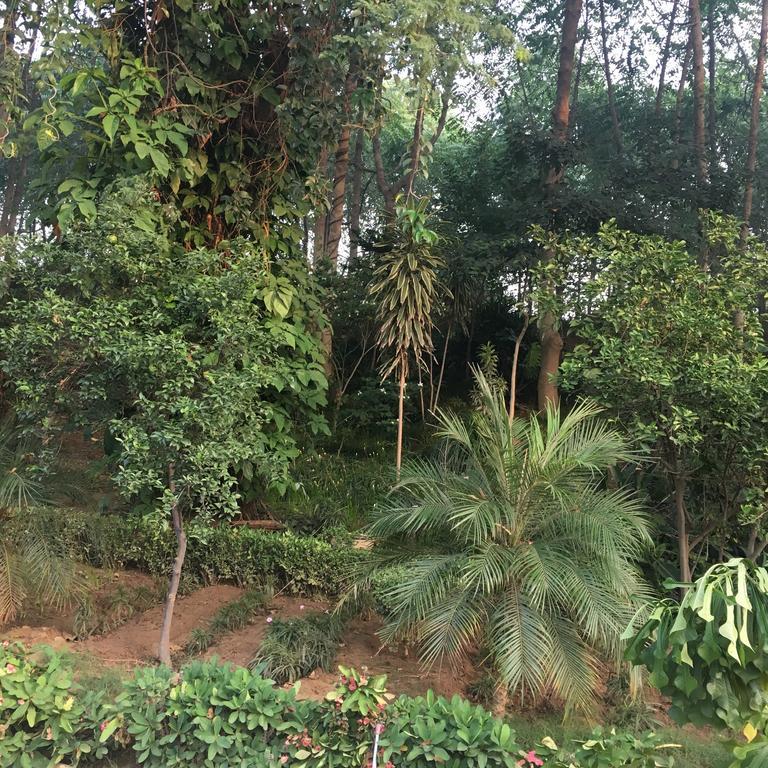Villa At Tarudhan Valley Golf Resort Manesar Esterno foto